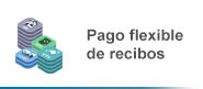 Pagament flexible